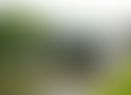 4ed8f135-cf54-4557-b740-02096d7b5f76.jpg