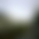 4edde98d-fe30-4bb0-b745-7a806d7b5f76.jpg