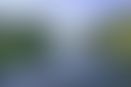 4f05982a-fce0-424f-ade0-31cf6d7b5f76.jpg