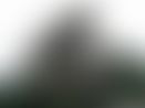 4f1d3ff8-5fe8-48d5-a22a-26d86d7b5f76.jpeg