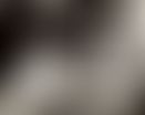 513e008c-1868-4c44-add1-6dd76d7b5f76.jpg