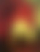 51c015e8-9c88-4d1f-9828-7d7a6d7b5f76.jpg
