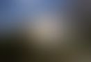 51fb933f-c484-43ed-80cf-427b6d7b5f76.jpg