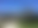 53bc1618-a688-4425-9cc4-51cf6d7b5e1b.JPG