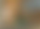 54822c6d-d3d4-4899-bc0c-32d66d7b5e1b.jpg
