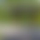 575948a9-0a50-41b0-92d4-7cb26d7b5e1b.jpg