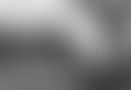 58611813-1cd0-41e5-a738-4a9f6d7b5e1b.jpeg