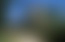 58c792e2-f4d4-47e6-a0a3-397e6d7b5e1b.jpeg