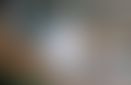 58c79a52-a9c0-4265-a604-39dd6d7b5e1b.jpeg