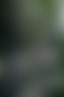 58c79b6a-8c48-4e9e-93c0-38d36d7b5e1b.jpeg
