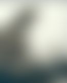 58dc78dc-69f8-4a00-ab7d-14a86d7b5e1b.jpg