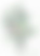 5c70e7c4-585c-4759-b713-2f506d7b5e1b.jpeg