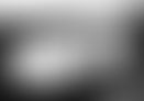 5c8ad4db-01e8-4589-8ee1-22b96d7b5e1b.jpg