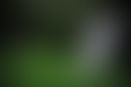 5cf3c4d7-1ca4-414f-8c99-14076d7b5e1b.jpg