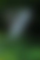 5cf3c7b5-396c-45c2-8f63-0fb86d7b5e1b.jpg