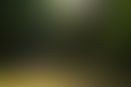 5db6a08f-a308-4997-88db-1c3e6d7b5e1b.jpg