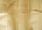 62c40a10-a974-4230-ac28-2d796d7b798d.jpg